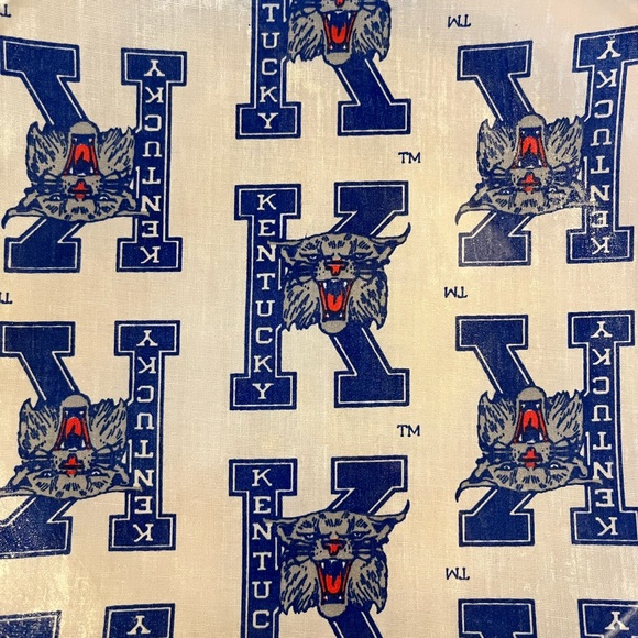 Rare Kentucky wildcats decorative plate - Picture 2 of 6